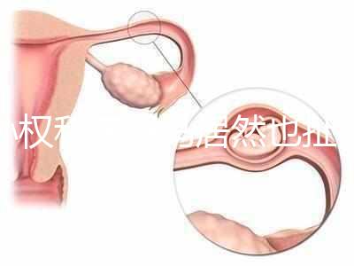 孫權和奧巴馬居然也扯得上關系:他們都是混血兒