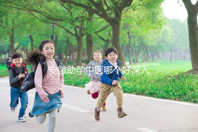 安徽助孕中醫哪個好深入分析？不要錯過合肥和蕪湖