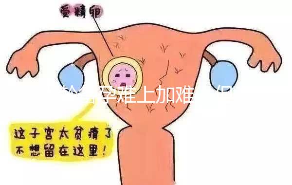 大齡備孕難上加難，但為什么越年輕的女性越容易懷孕？