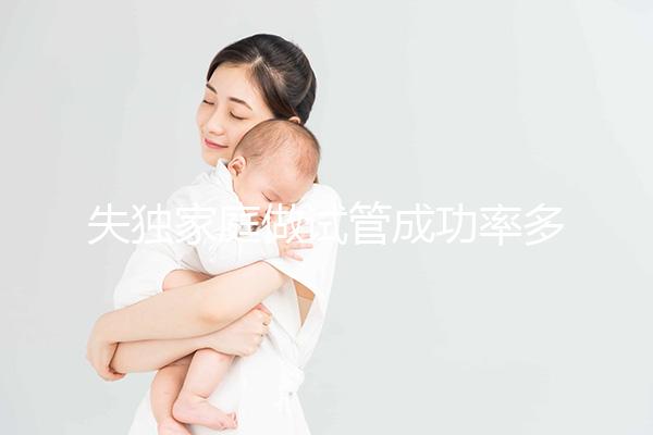 失獨(dú)家庭做試管成功率多少答案在這,附三大真實(shí)案例分享