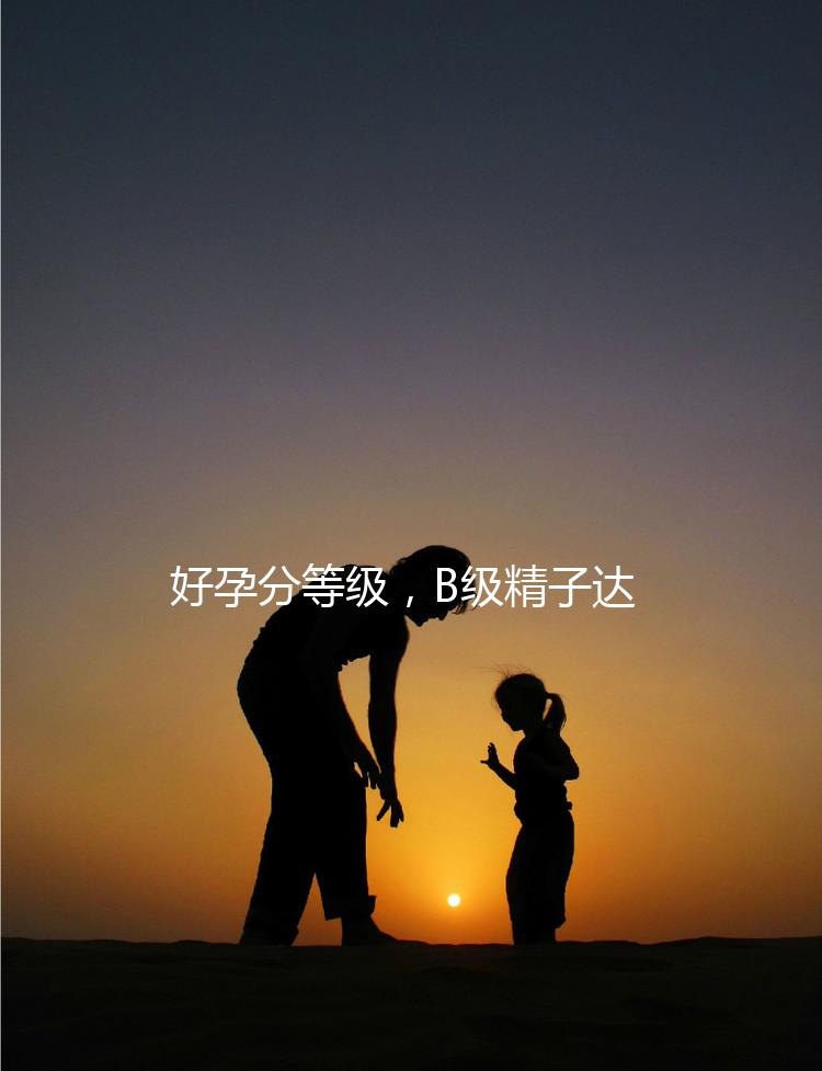 好孕分等級，B級精子達(dá)這個正常標(biāo)準(zhǔn)“孕路”無阻