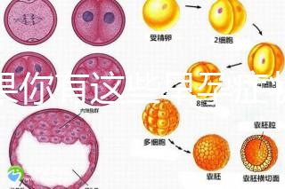 如果你有這些早孕癥狀，那恭喜試管嬰兒成功懷上啦