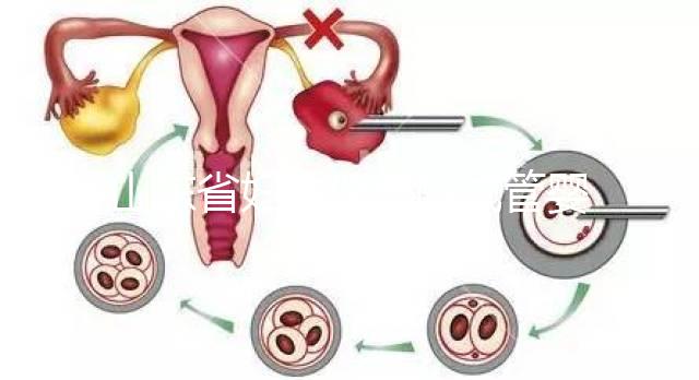 山東省婦幼保健院試管嬰兒怎么樣，新版助孕成功率數據公布