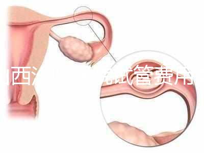 山西汾陽(yáng)醫(yī)院試管費(fèi)用清單公布，2024年生殖科助孕成功率公布