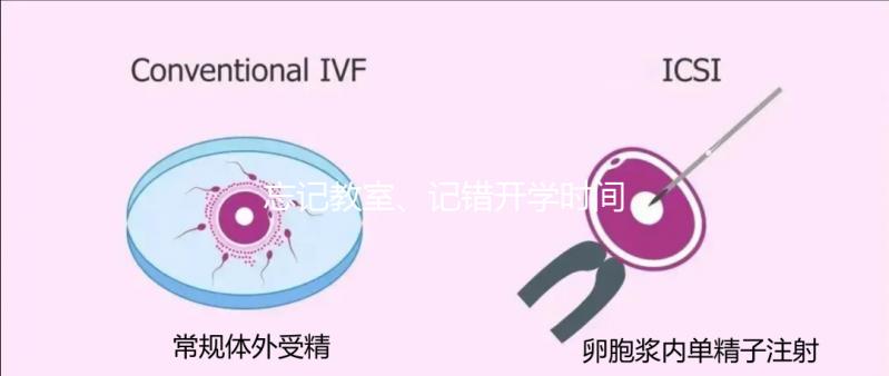 忘記教室、記錯開學時間...開學第一天孩子們囧事分享！