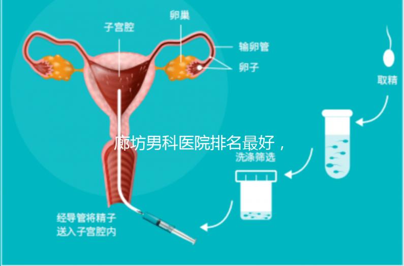 廊坊男科醫院排名最好，醫院出爐！廣陽這些機構可以排隊