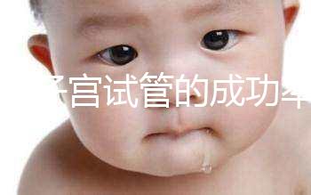 弓形子宮試管的成功率在這里有多少答案？這樣做著床并不難