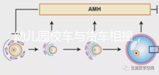幼兒園校車與貨車相撞，乘坐校車要告訴寶寶注意事項！