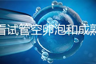 速看試管空卵泡和成熟卵泡能否區(qū)分開，這兩大技巧學(xué)起來