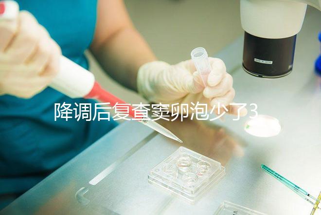降調后復查竇卵泡少了3個正不正常看這三點，附解決方案