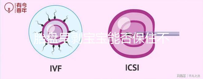 胎盤早剝寶寶能否保住不一定！及時治療和護理很重要