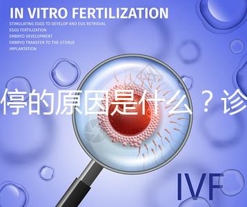 胎停的原因是什么？診斷鑒別80%是精子問題