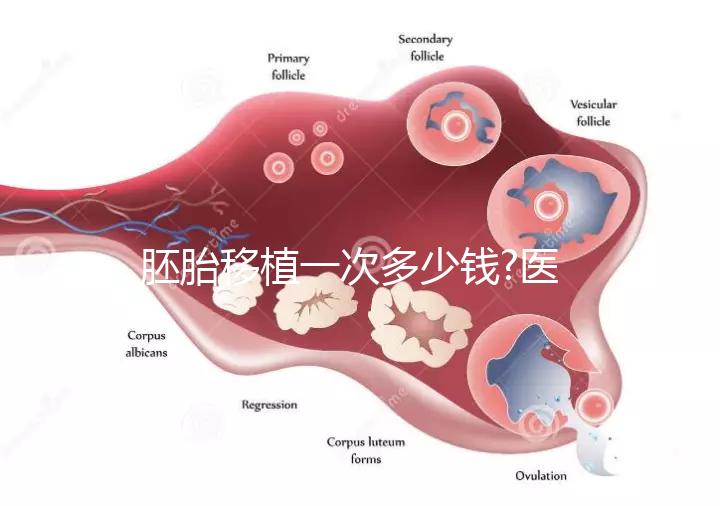 胚胎移植一次多少錢?醫(yī)生:有剩余胚胎移植很便宜