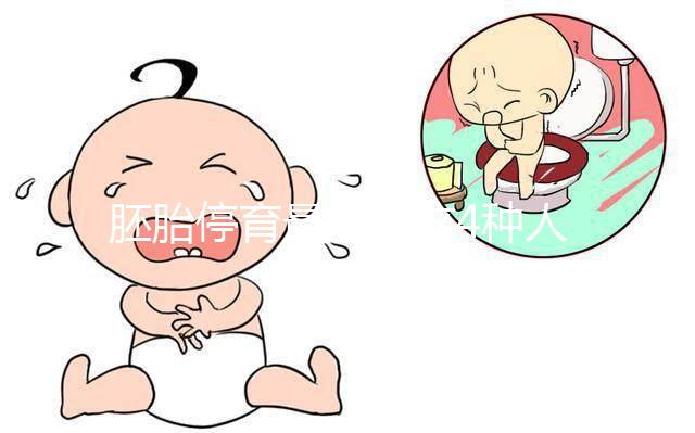 胚胎停育最愛找這4種人的麻煩,學會預(yù)防降低風險