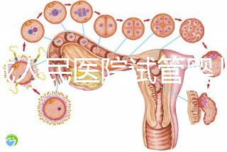 聊城人民醫院試管嬰兒成功率怎么樣，3大助孕案例告訴你答案