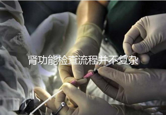 腎功能檢查流程并不復(fù)雜,掌握這幾個步驟方可一步到位