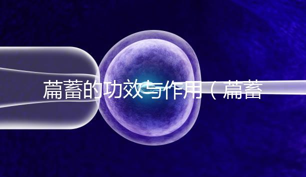 萹蓄的功效與作用(萹蓄的功效與作用與主治)