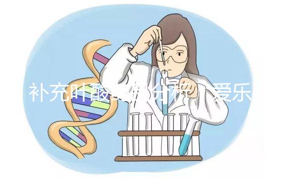 補充葉酸藥品分析:愛樂維和斯利安哪個孕期更需?