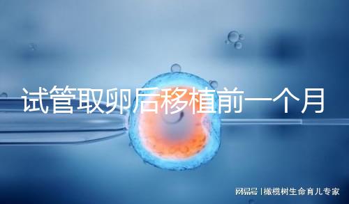 試管取卵后移植前一個月牙痛，可以去拔牙嗎？