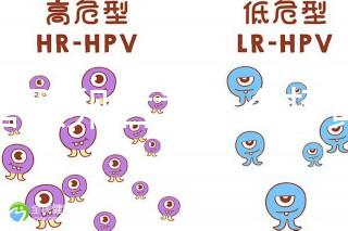 試管取卵后為什么打黃體酮？3大作用的目的都殊途同歸