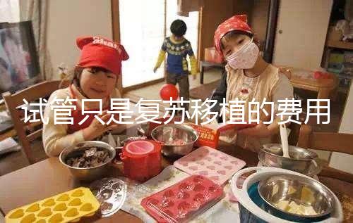 試管只是復蘇移植的費用并不高，看這就知道大概多少錢