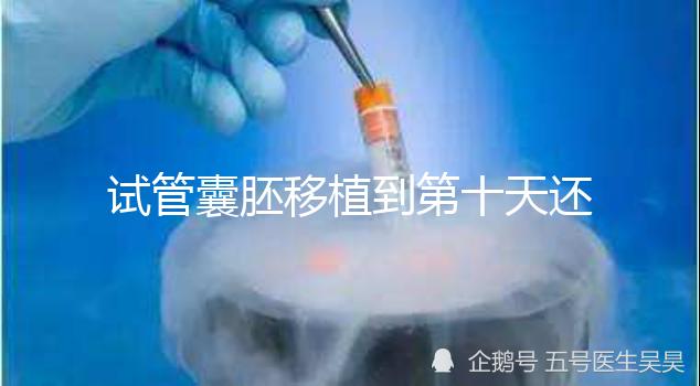 試管囊胚移植到第十天還是白板別擔心，放松心態等逆襲吧！