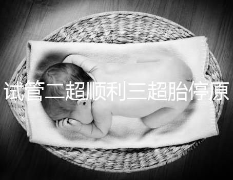 試管二超順利三超胎停原因分析，多半和保胎藥停早了有關