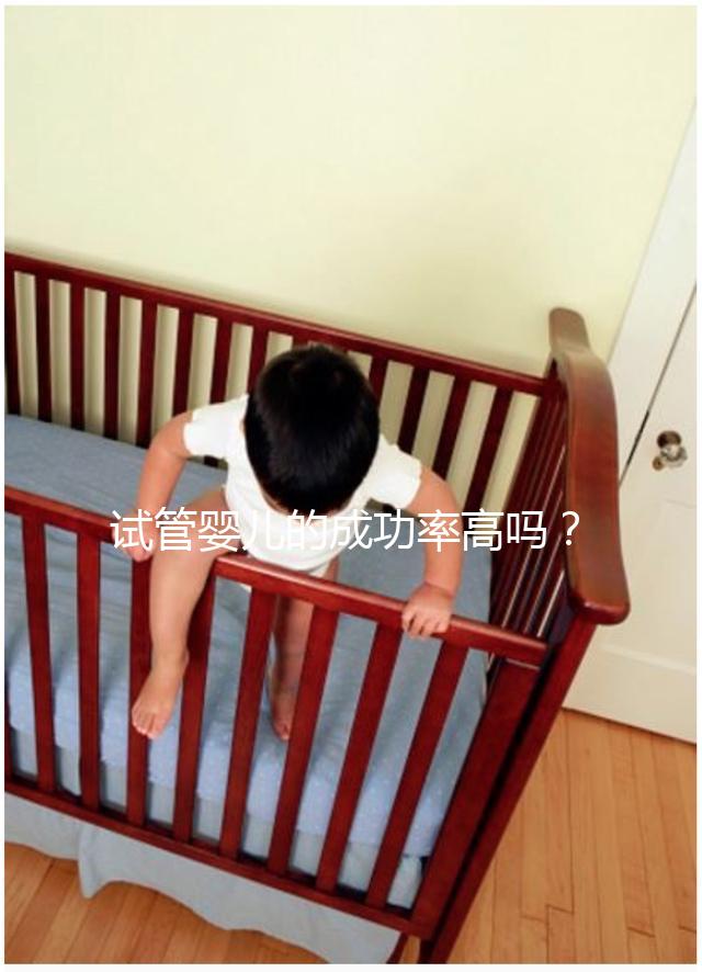 試管嬰兒的成功率高嗎？卵泡質量或為關鍵因素