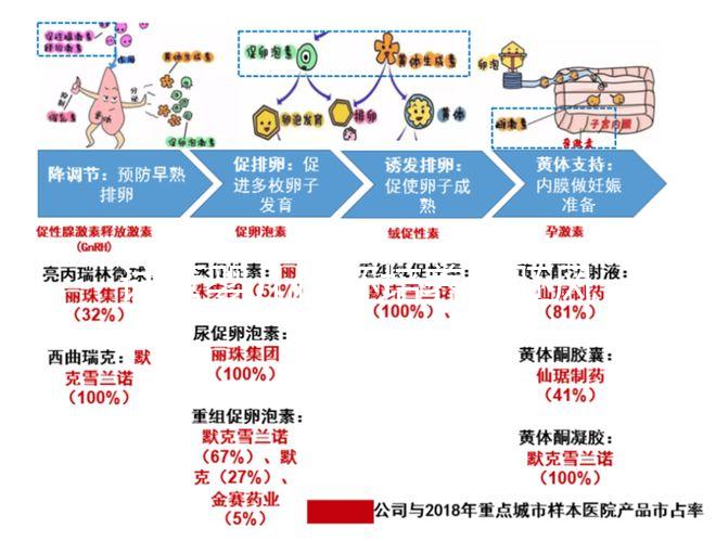 試管嬰兒優(yōu)胚培養(yǎng)囊胚風(fēng)險特別大，逃不掉這3大原因