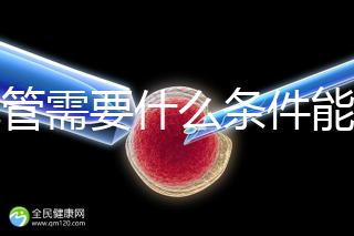 試管需要什么條件能做