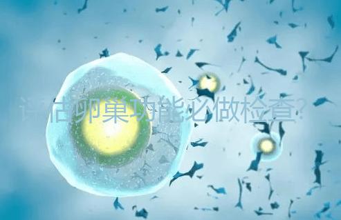 評估卵巢功能必做檢查?大家說的AMH到底是什么