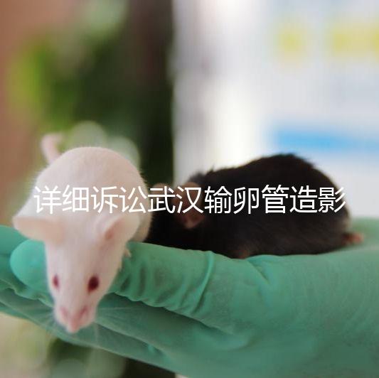 詳細訴訟武漢輸卵管造影檢查多少錢，能否報銷，不要錯過