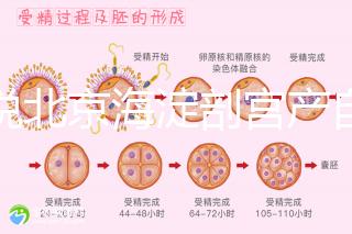 誰說北京海淀剖宮產自付費用高,了解2024年生育保險報銷比例?