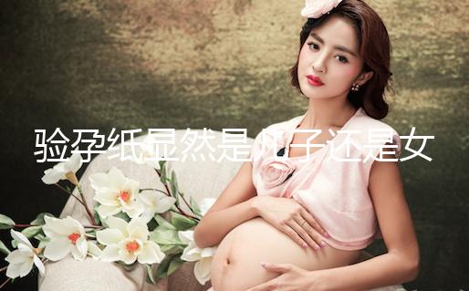 驗孕紙顯然是兒子還是女兒看到了兩條線，準備懷孕的收藏