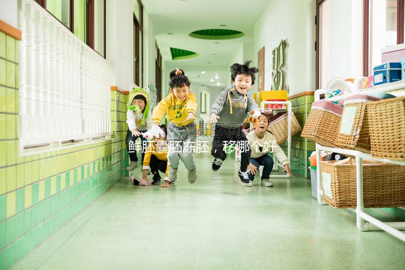 鮮胚囊胚凍胚,移哪個好?關(guān)于試管嬰兒的那些事兒