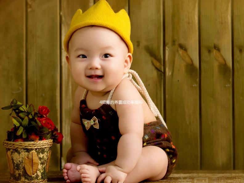 4細(xì)胞的養(yǎng)囊成功率高嗎?一起來聽聽“過來人”怎么說