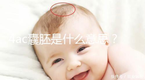 4ac囊胚是什么意思？移植成功率