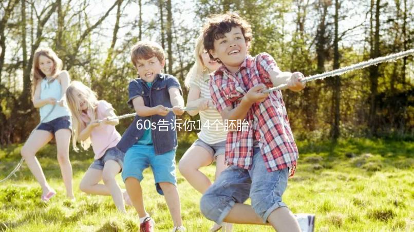 60s告訴你14個胚胎養囊能成多少，只有3個許是質量不行