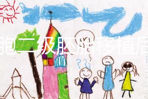 9細胞二級胚胎移植后8天沒感覺，成功率依然很高