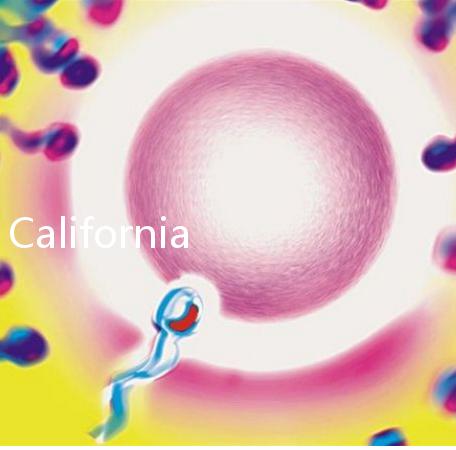 California Cryobank，加州精子銀行實用指南