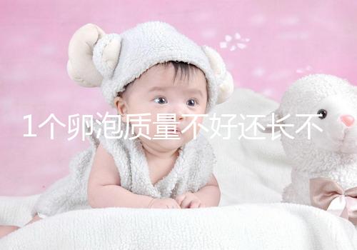 1個卵泡質量不好還長不大，如何提高試管嬰兒懷孕成功率？