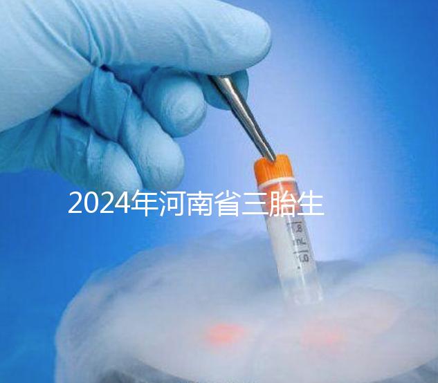 2024年河南省三胎生育津貼發(fā)生變化！南陽和信陽最高獎勵20萬！