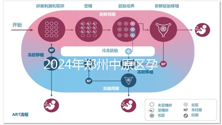 2024年鄭州中原區孕前檢查免費政策,選擇合適的醫院可以節省數百人