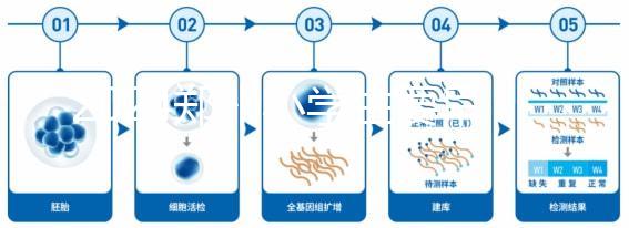 2024鄭州小學生要早知道入學條件，別忘了中原區的這些證件