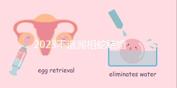 2023不造屬相蛇結婚跟什么相配？切記和屬豬易犯沖