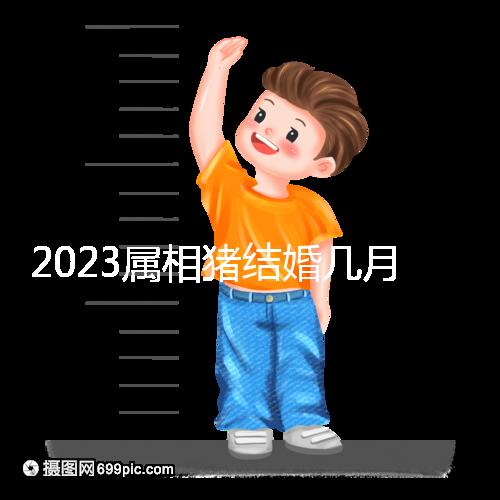 2023屬相豬結(jié)婚幾月好大盤點(diǎn)，選對(duì)了年份雙喜纏身