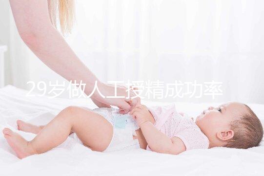29歲做人工授精成功率是多少?出現(xiàn)這些情況懷孕較難