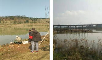 區畜牧局開展春季漁政巡查，保障畜牧漁業飼料銷售安全